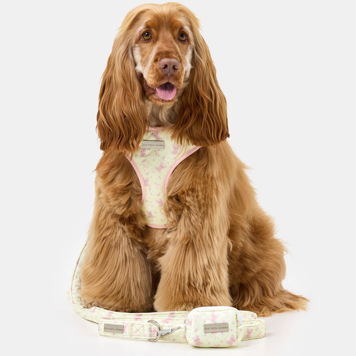 Penny wearing size M