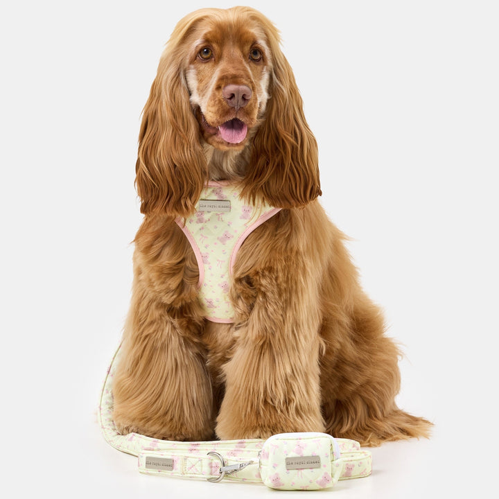 Penny wearing size M