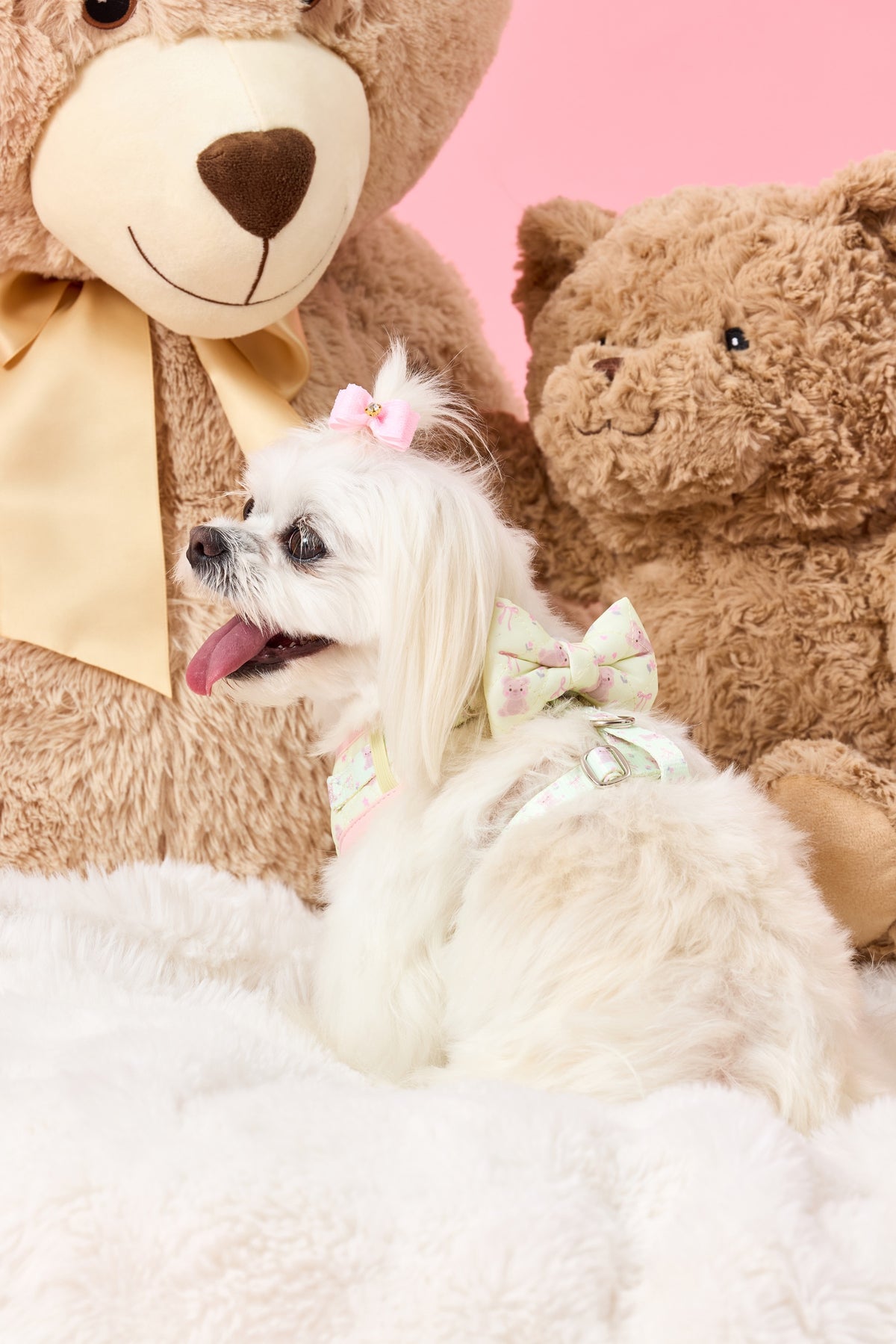Chloe wearing The Teddy Harness with bow