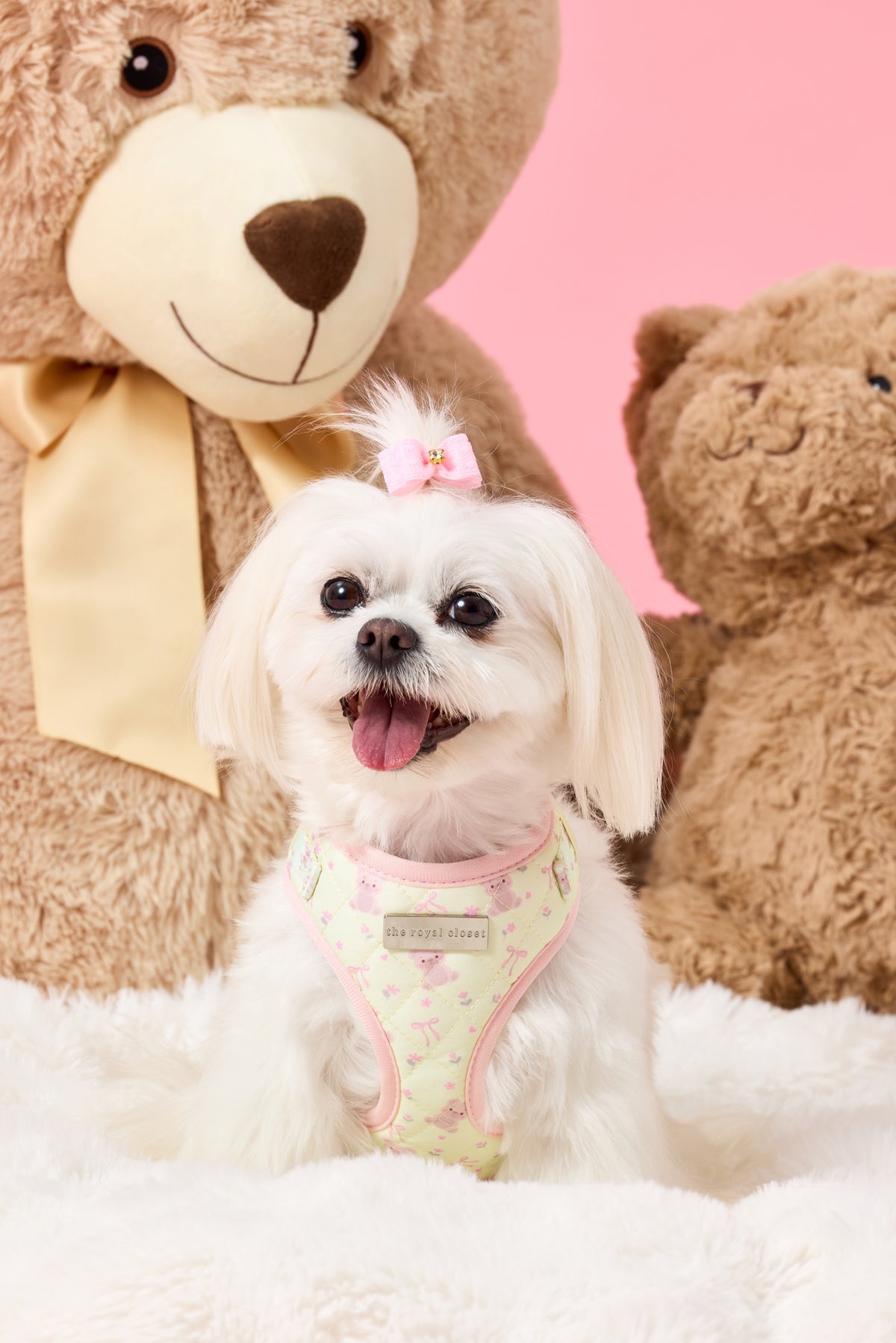 Chloe wearing The Teddy Harness