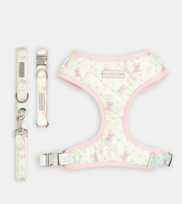 The Teddy Walk Kit bundle image