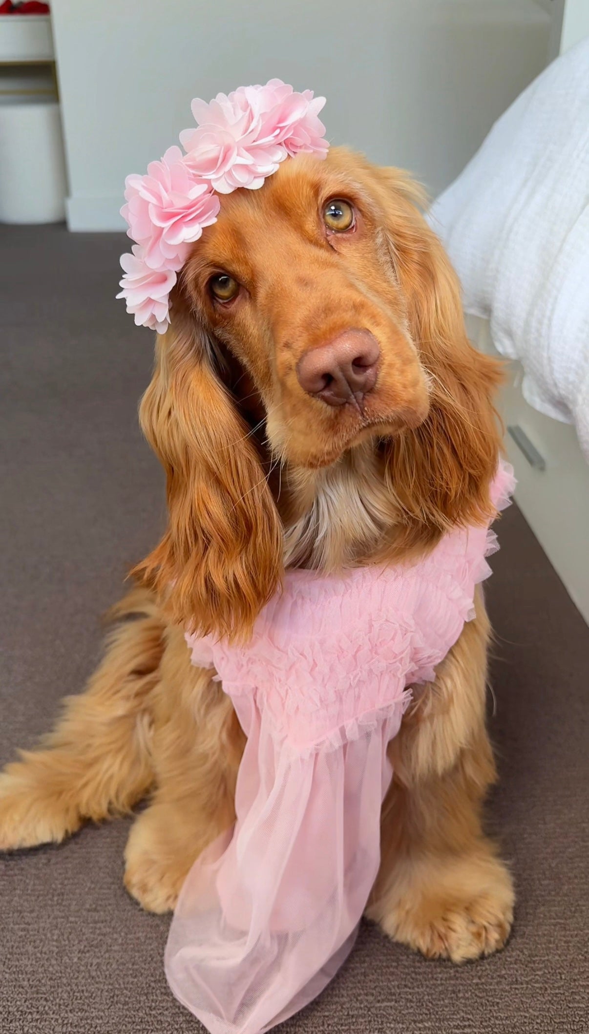 Princess Penny wearing a pink dress and flower crown